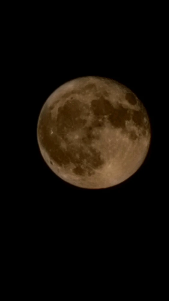 Image uploaded by Andrea