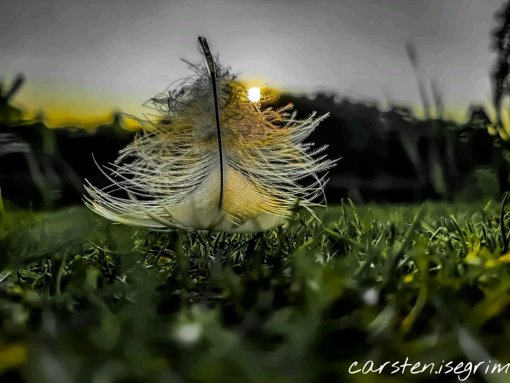 Bild hochgeladen von Carsten