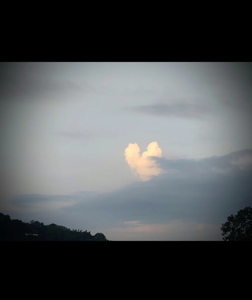 Image uploaded by Soul