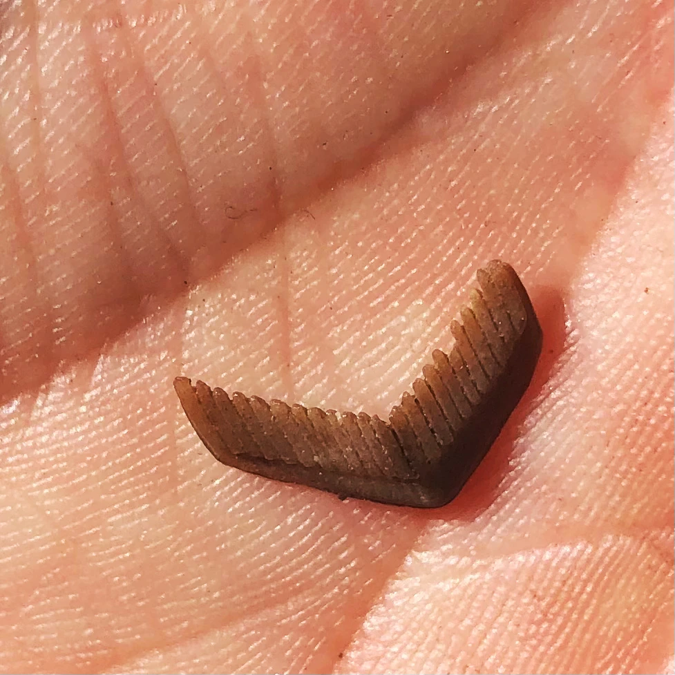 Image uploaded by Nicole