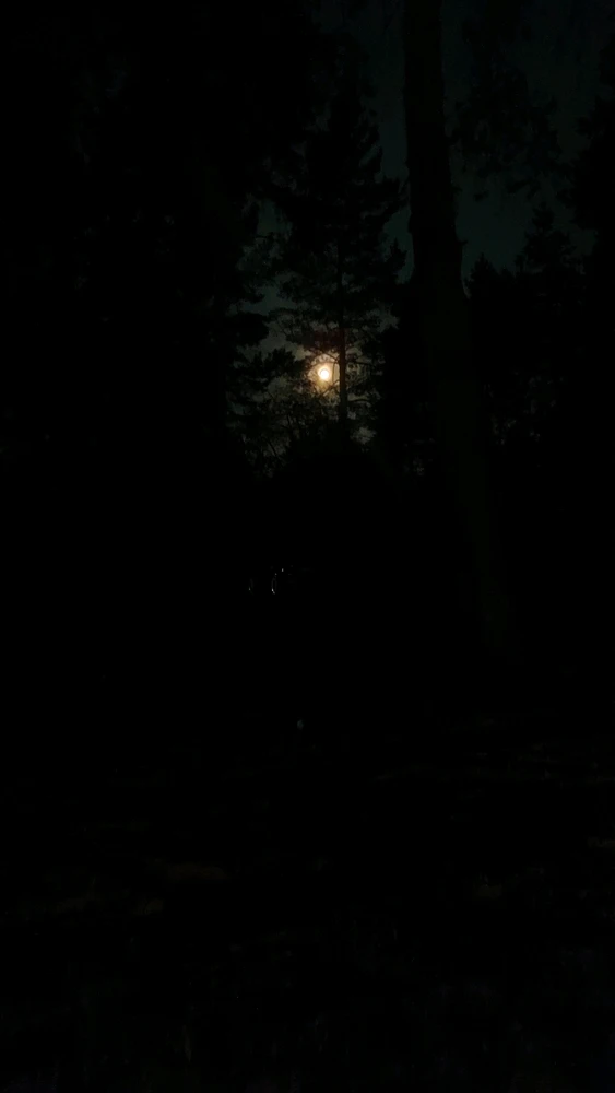 Зображення завантажив Artem