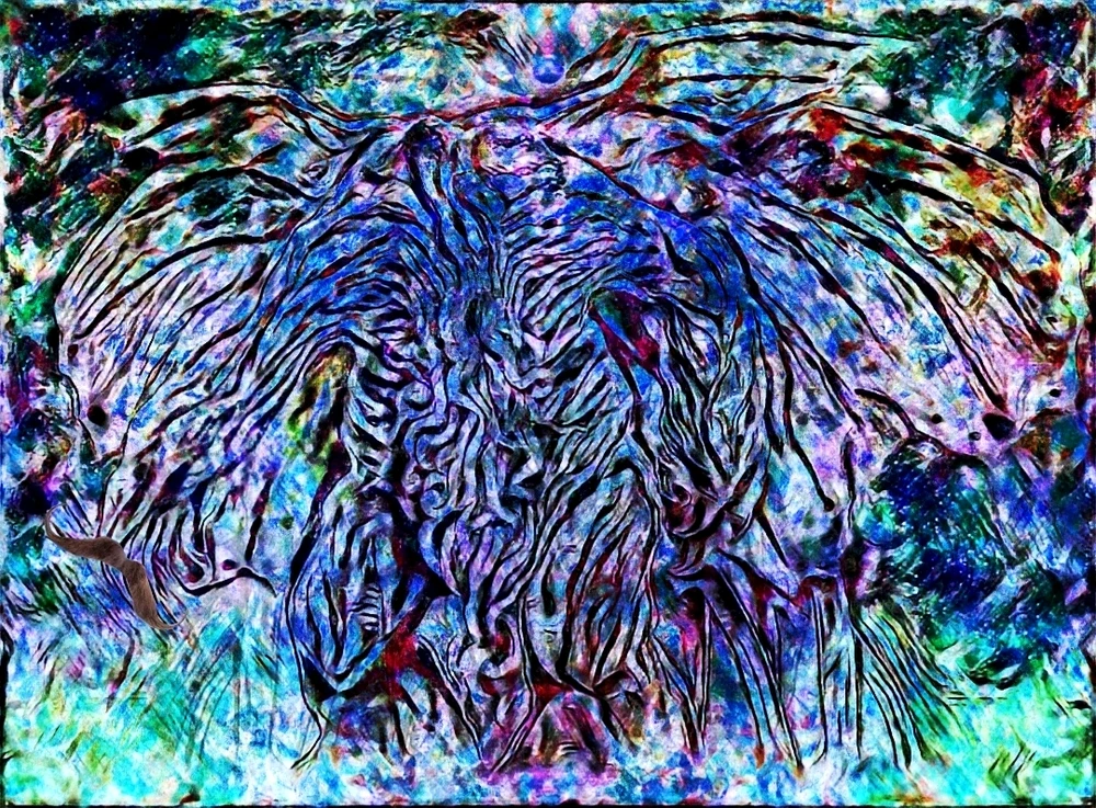 Image uploaded by Niko Law
