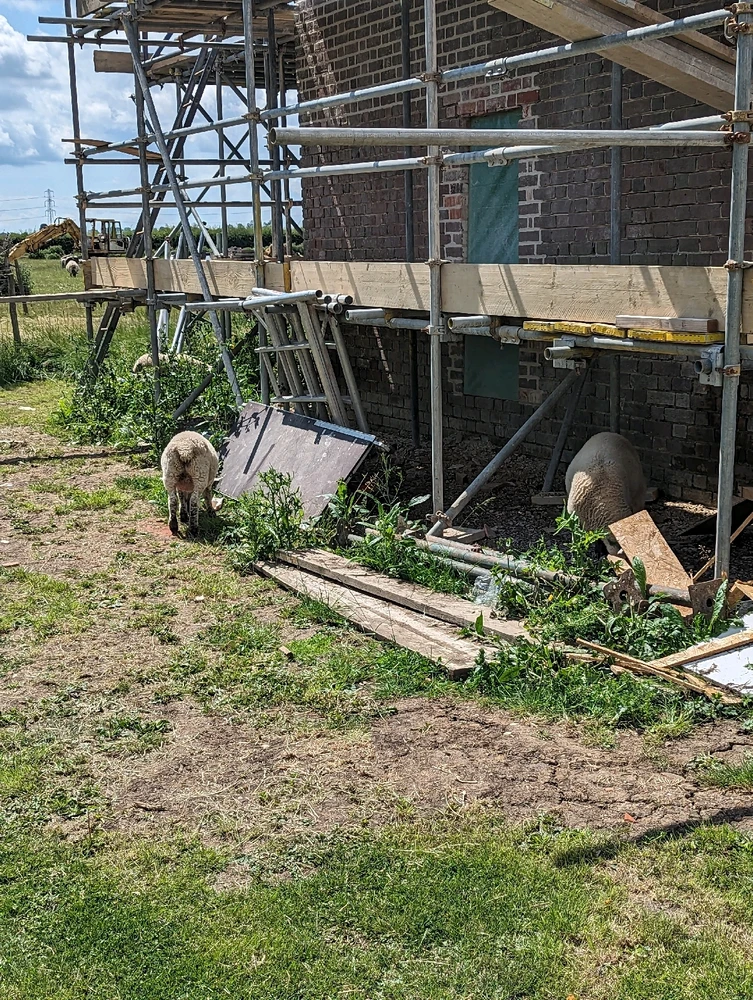 Image uploaded by Matt