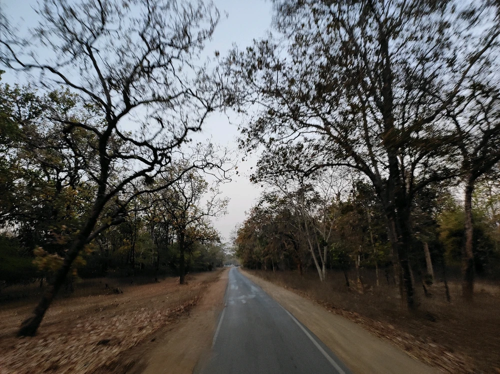 Image uploaded by Koustuv