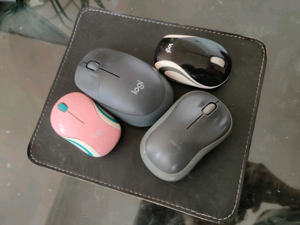 Colección de mouse 😉