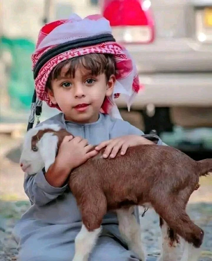 صورة رفعها Med Ben Ayed