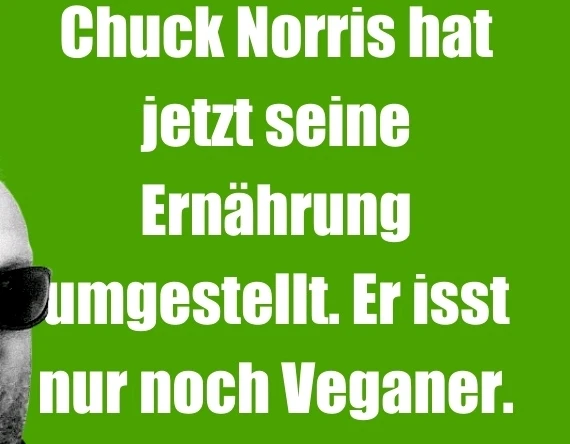 Bild hochgeladen von Sera