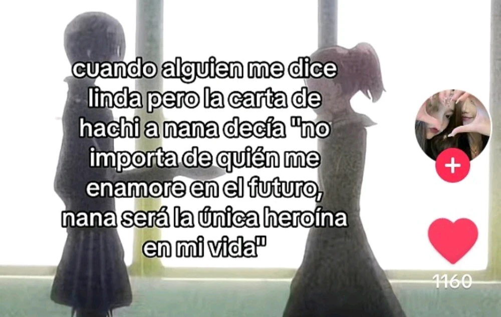 Image uploaded by Fernanda