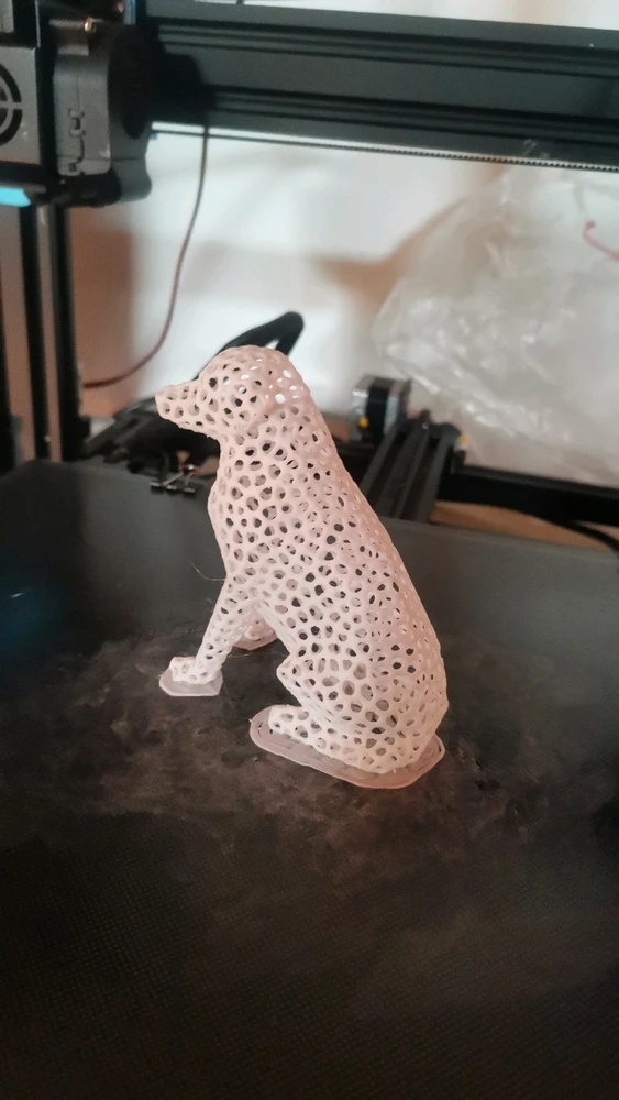 Immagine caricata da Tommaso