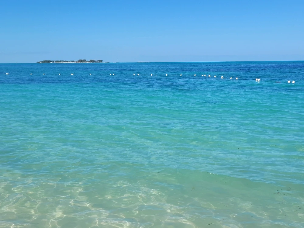 Image uploaded by Star