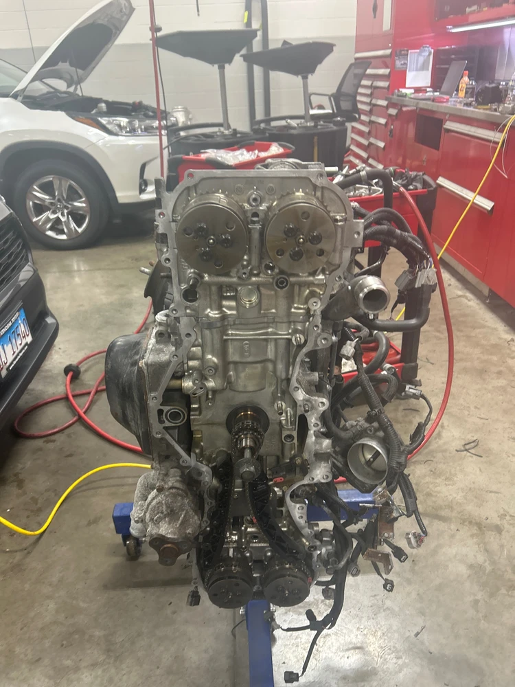 Image uploaded by Daniel