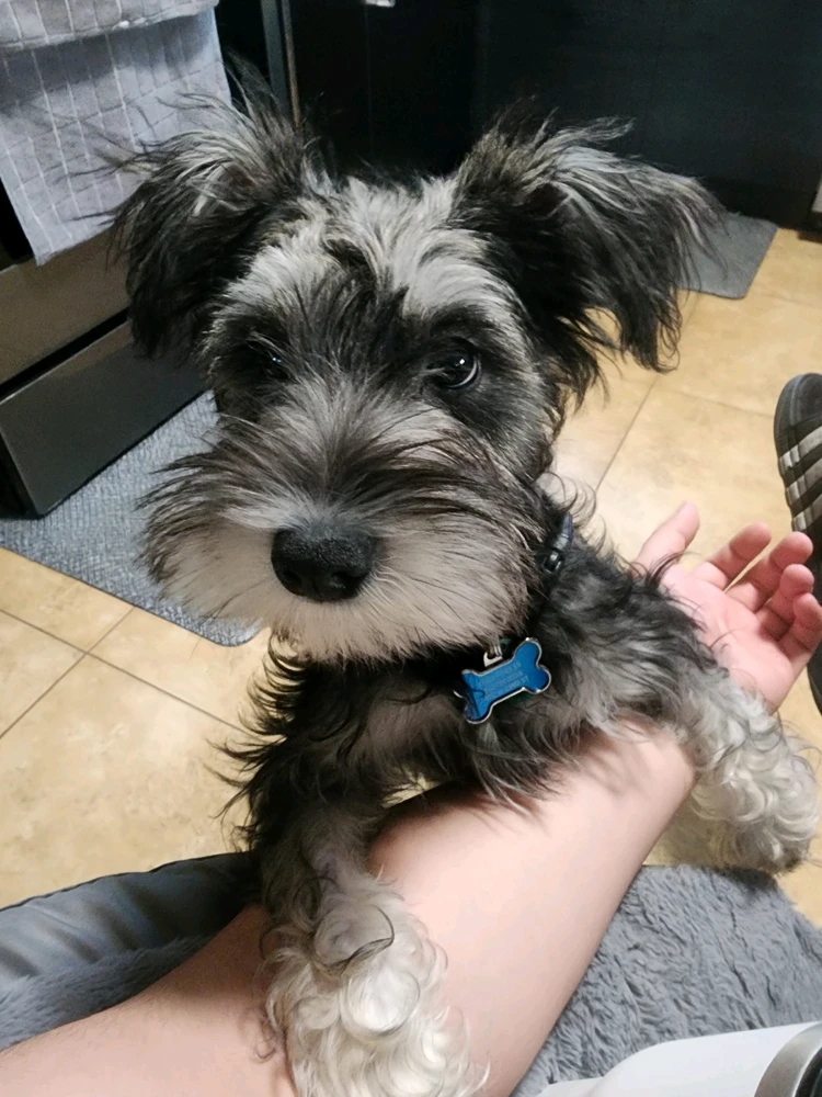 Image uploaded by Carlos