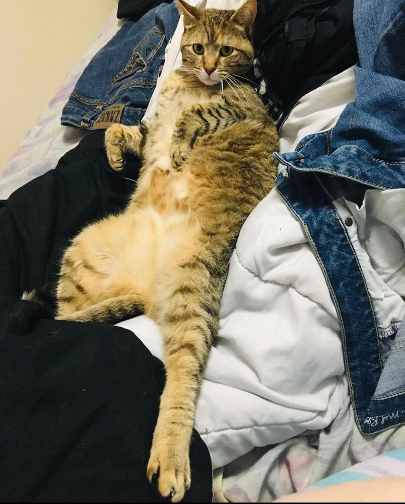 Ellie Mae 