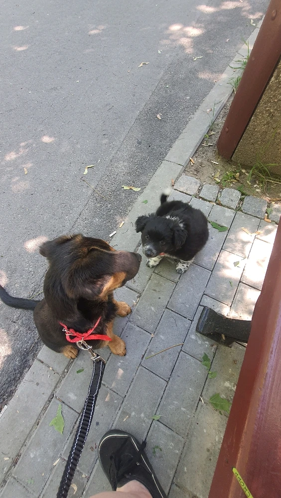 Image uploaded by Corimiko