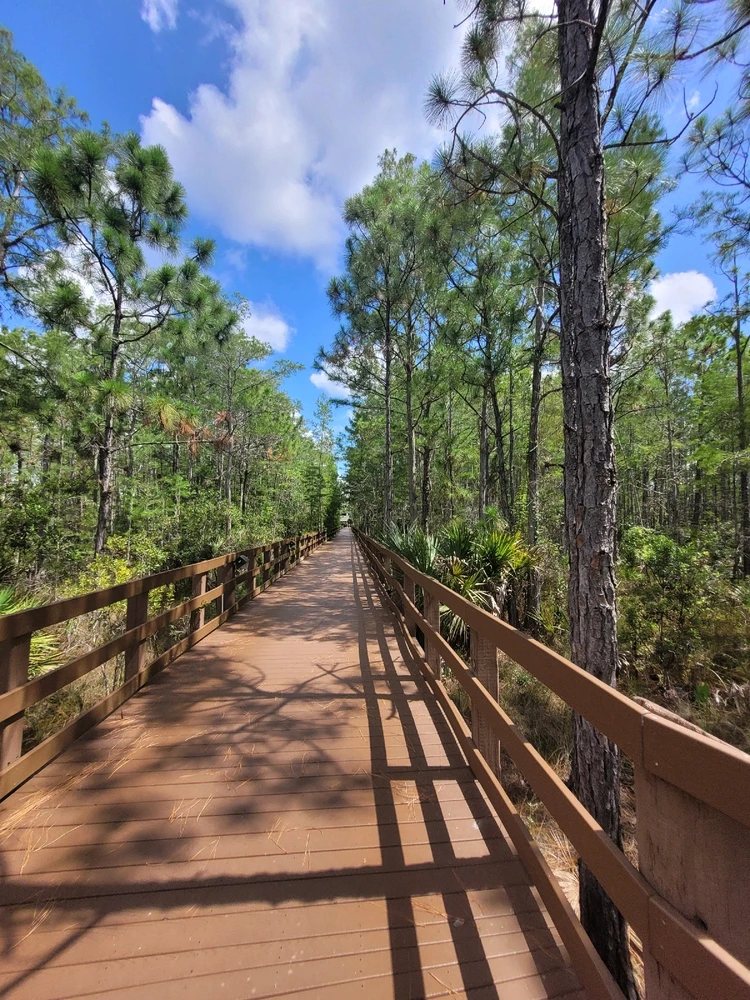 Image uploaded by Star