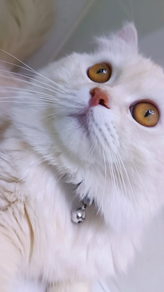 Image uploaded by kanseoo