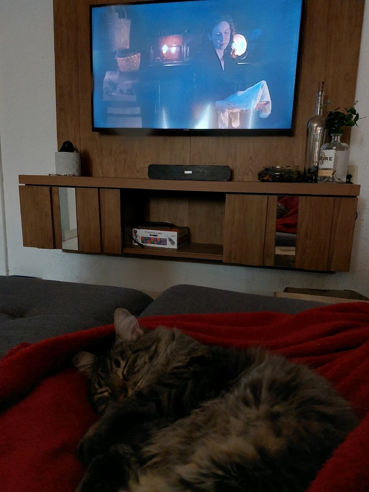 Imagem enviada por Thamirys