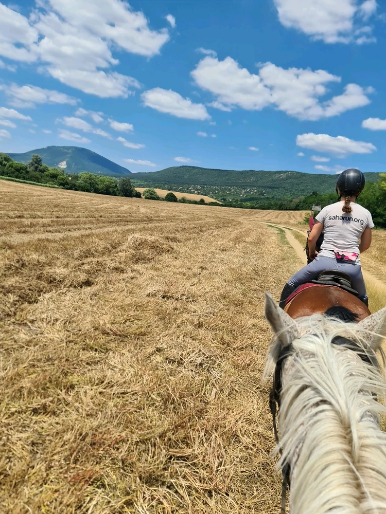 Sólyom által feltöltött kép