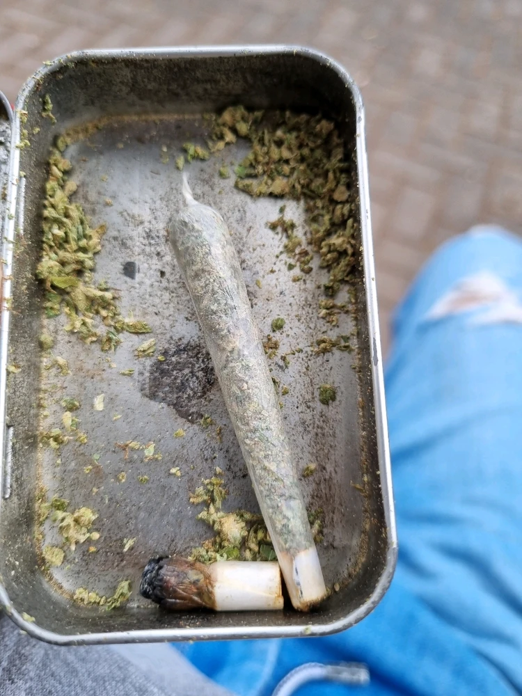 Solo disfruta  ✨️🍃