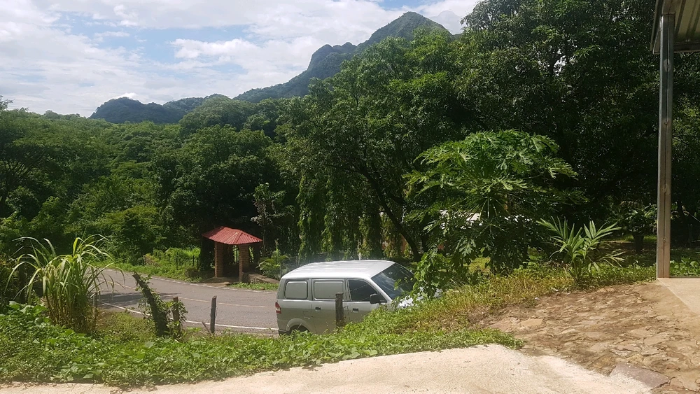 Image uploaded by Irma