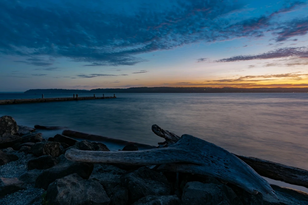 Image uploaded by Sachil