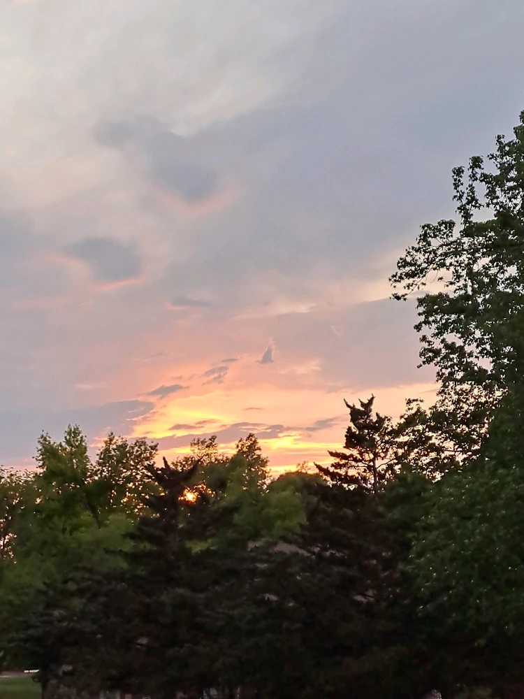Image uploaded by River