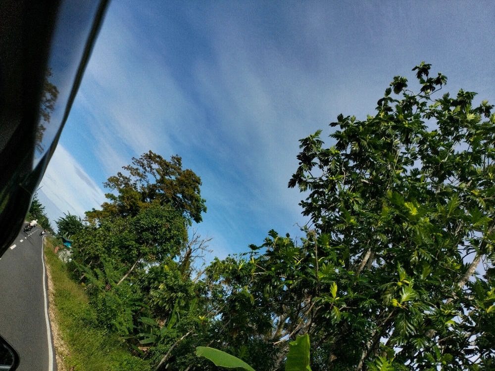 Image uploaded by Ria