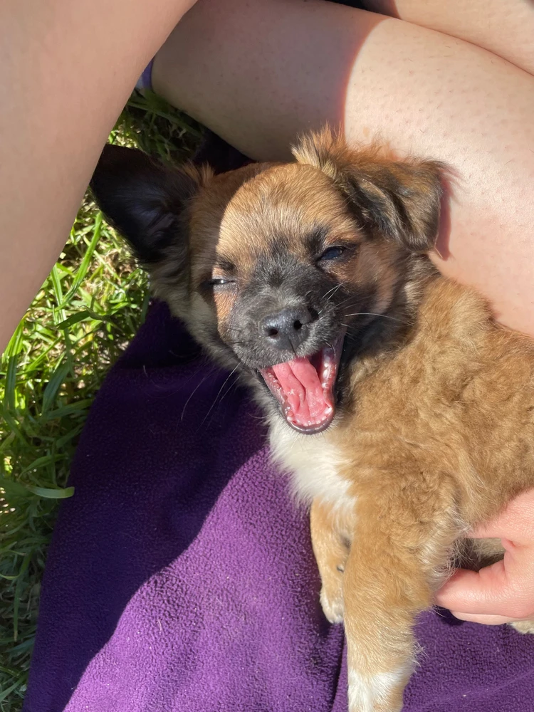 Zdjęcie dodane przez Julia