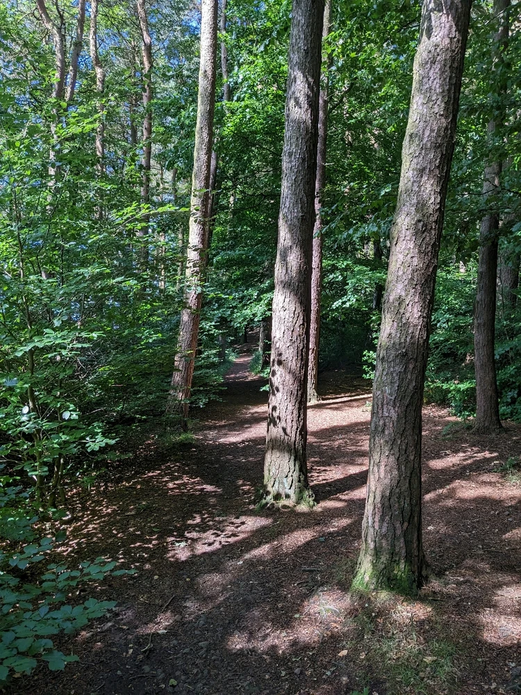 Image uploaded by Rob