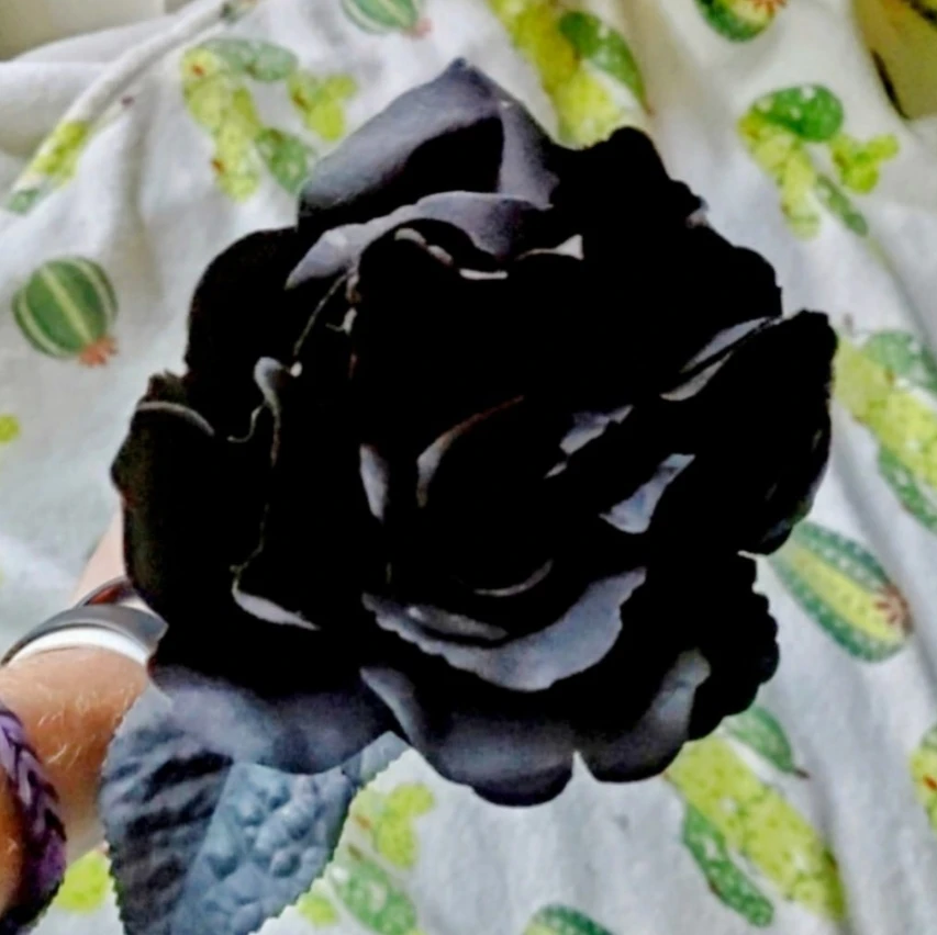 Image uploaded by ππ π£ππͺπππ©΅