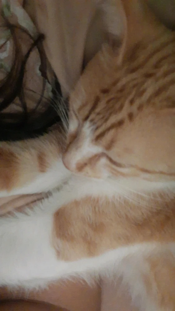 Imagem enviada por Ana Beatriz