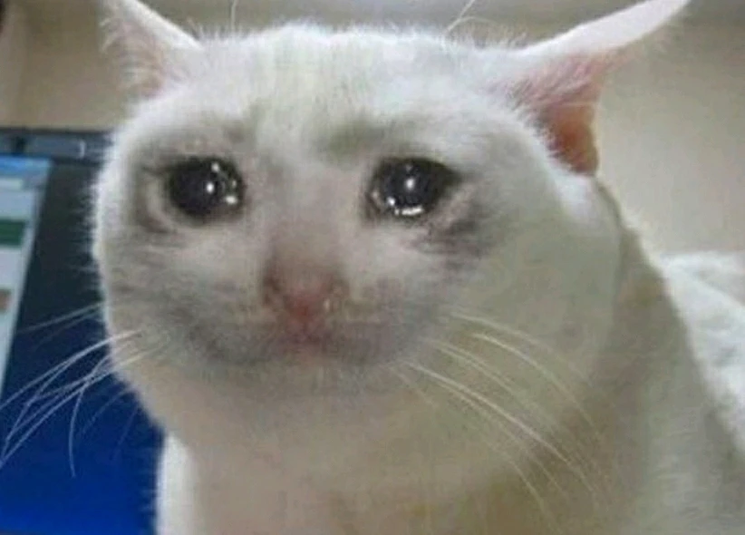 Ich bin krank, will mich wer aufmuntern? 😪