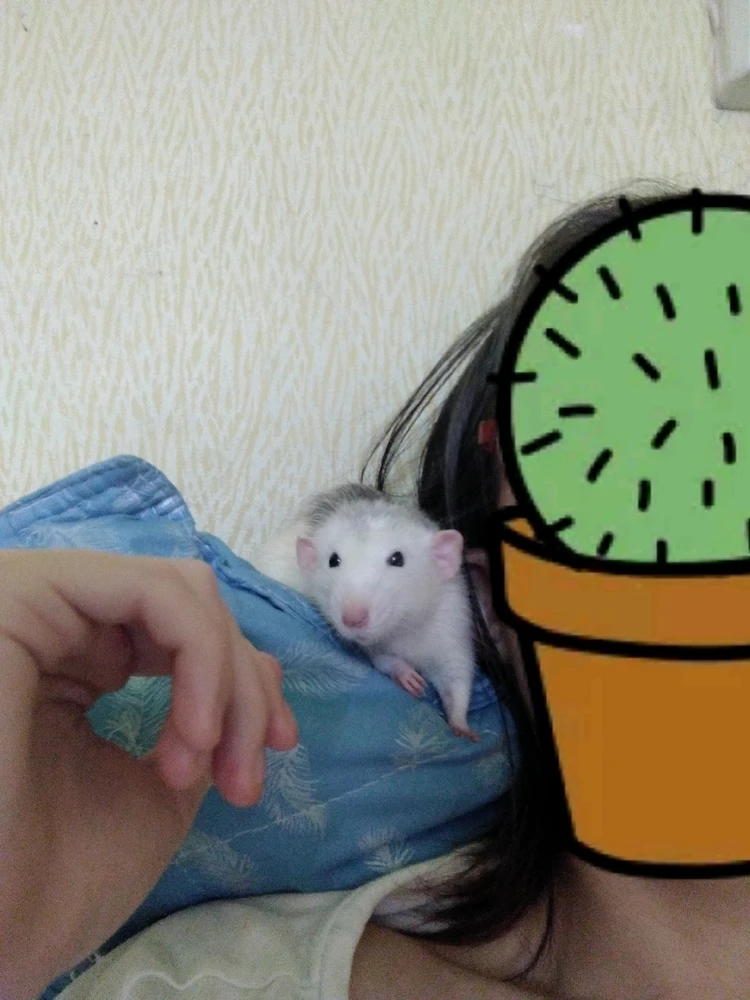 Фото загрузил Даня