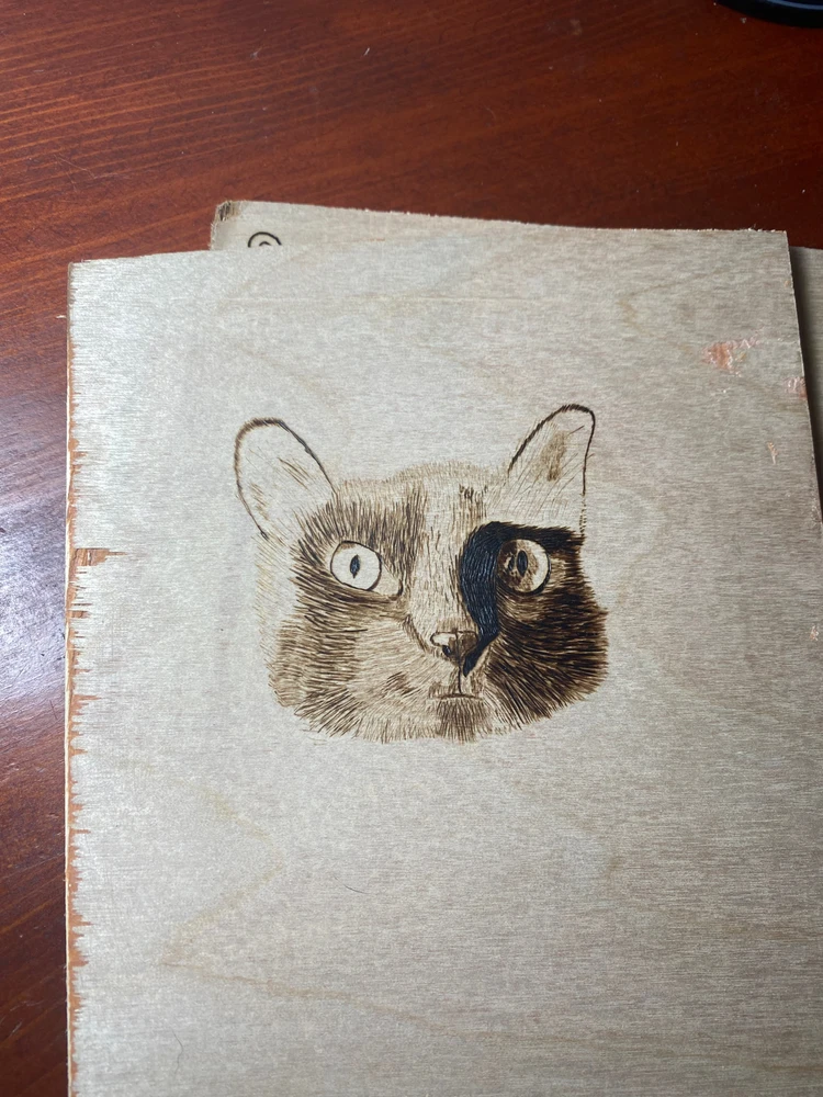 Image uploaded by Tj