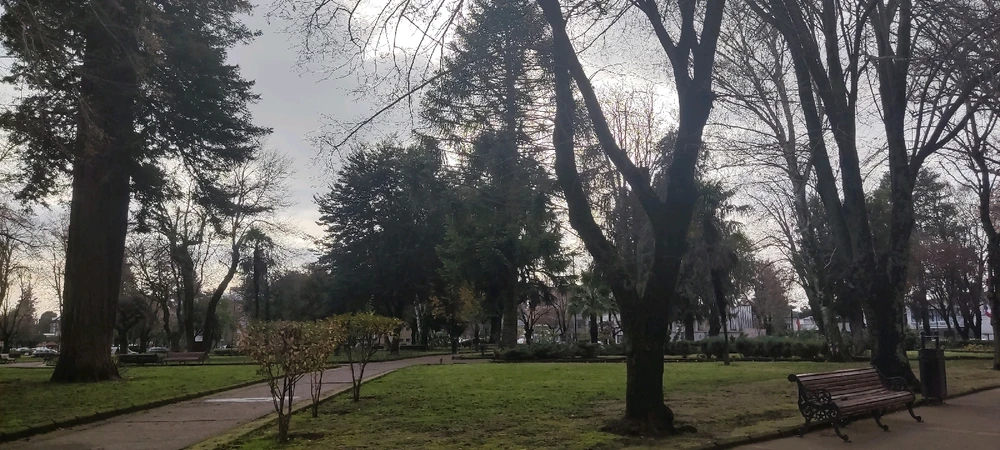 Imagen subida por Brandon