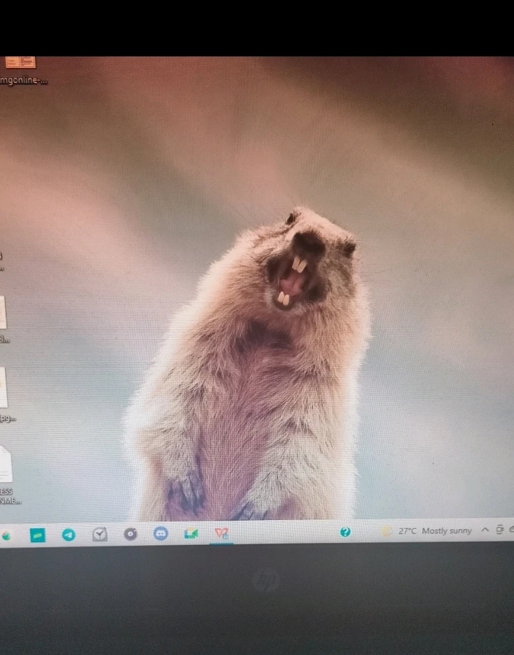 Nejaがアップロードした画像