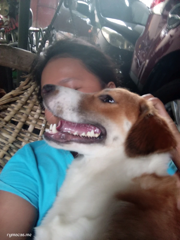 Image uploaded by Allele