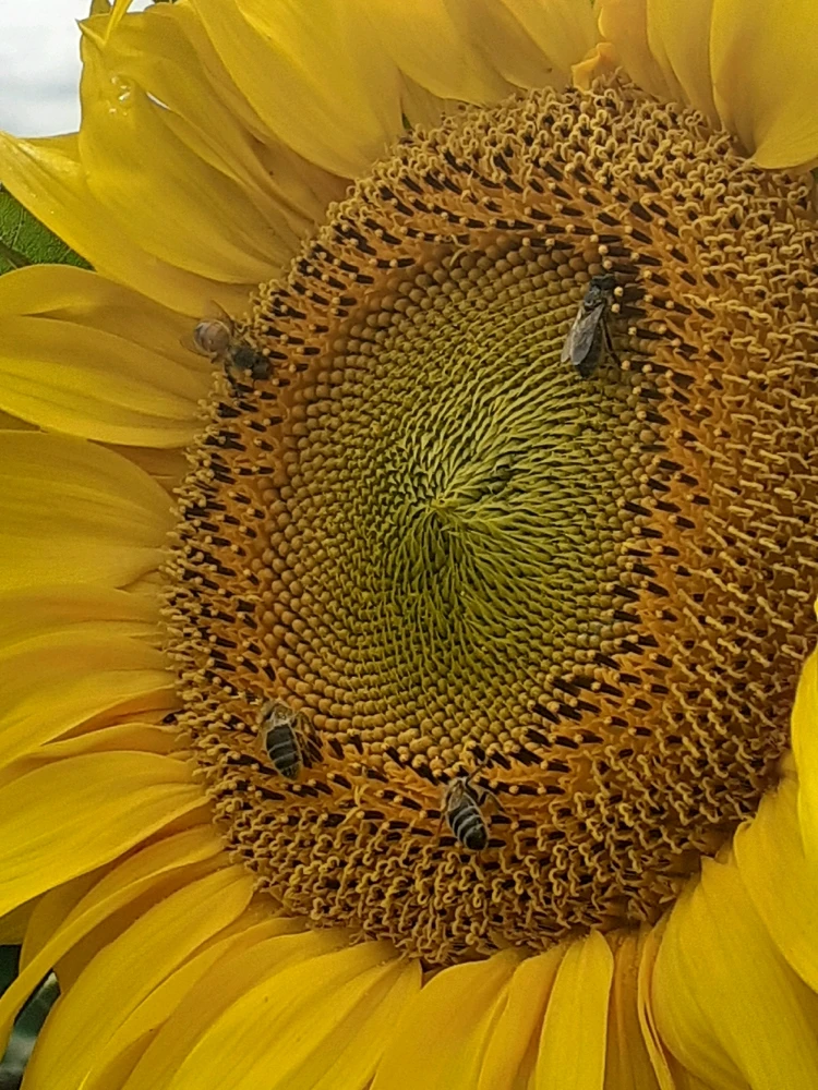 Image uploaded by Personne