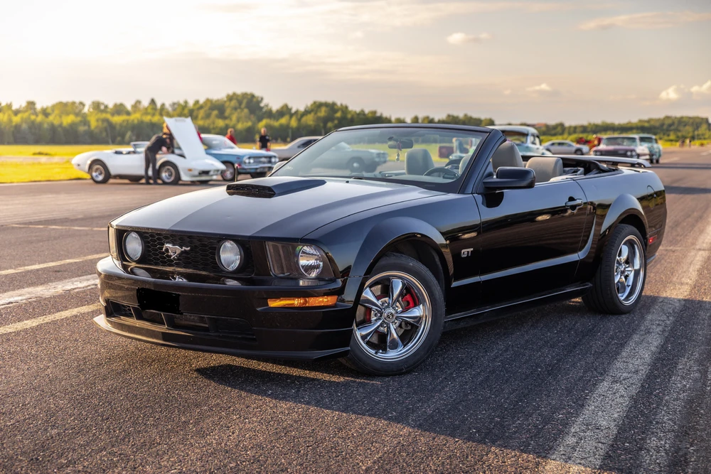 Johnnie latasi kuvan