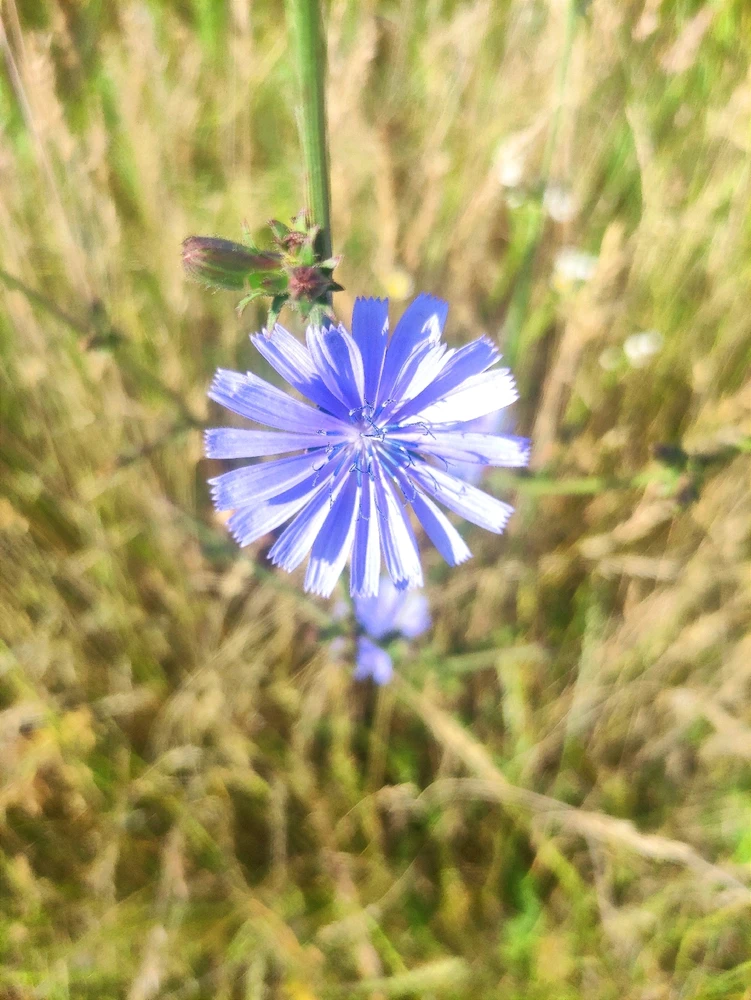 Obrázek nahrál Lukáš