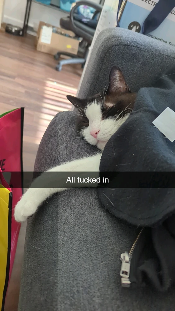 Image uploaded by Mar