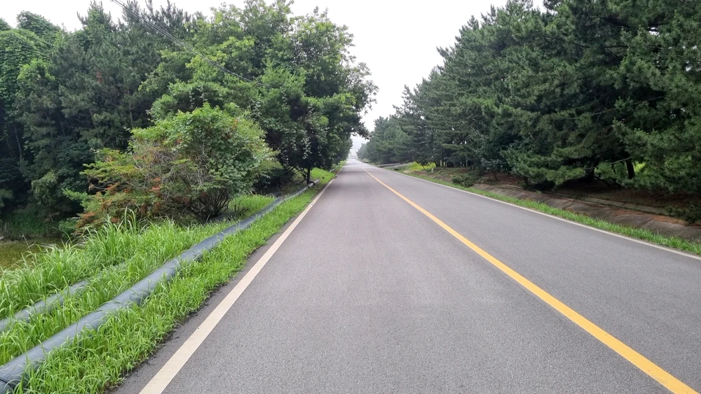 Dayton.K님이 올린 사진