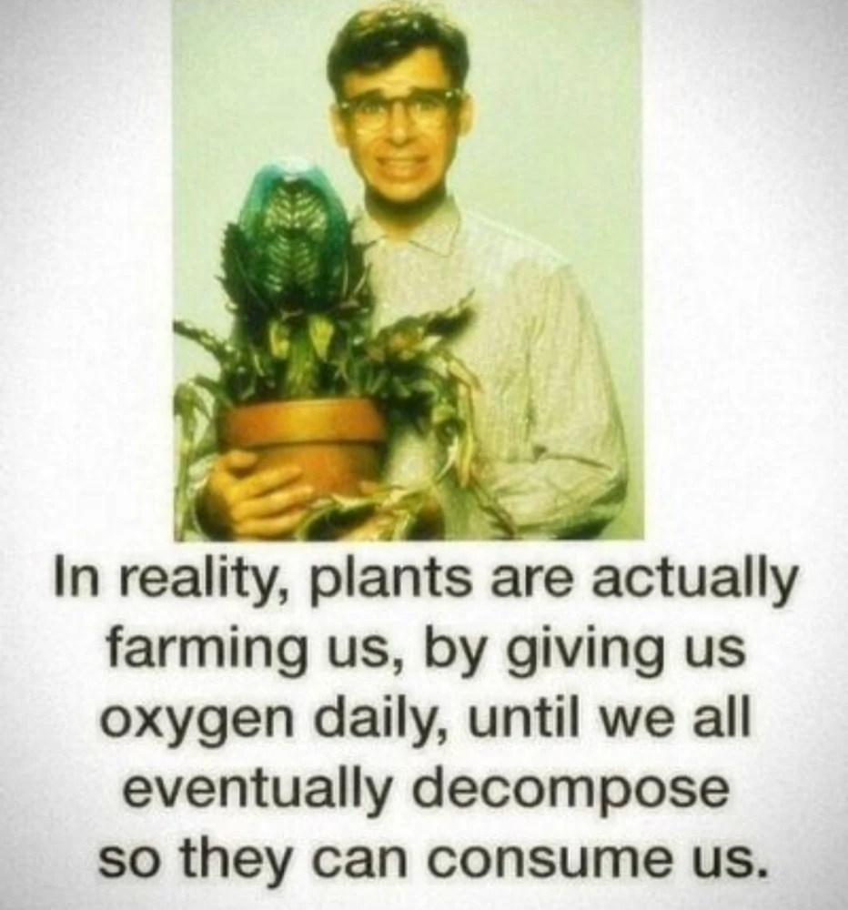 Image uploaded by Thomas