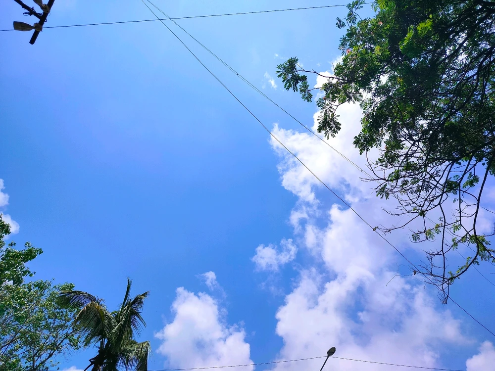 Sunshine on a morning. Shining bright to a better future.