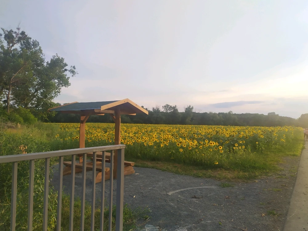 Image uploaded by Mitsu