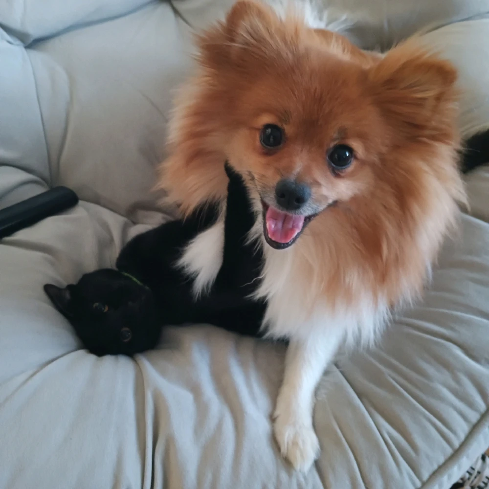 Image uploaded by Dylan