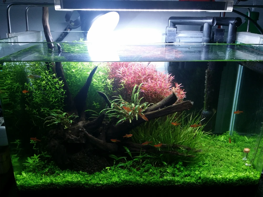 Image uploaded by Noel David