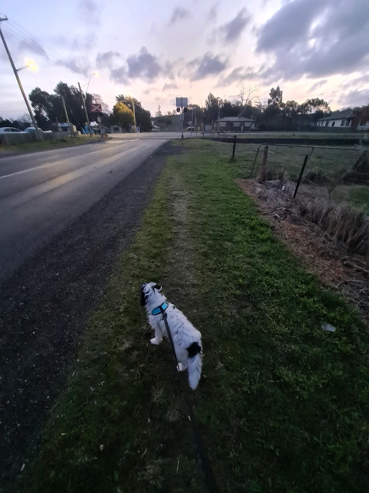 Image uploaded by Alex