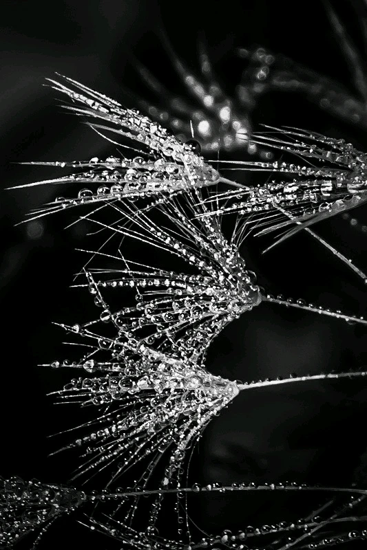 Bild hochgeladen von Chris Arret