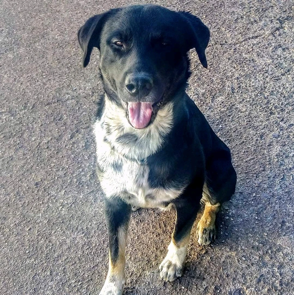 Imagen subida por Ricardo